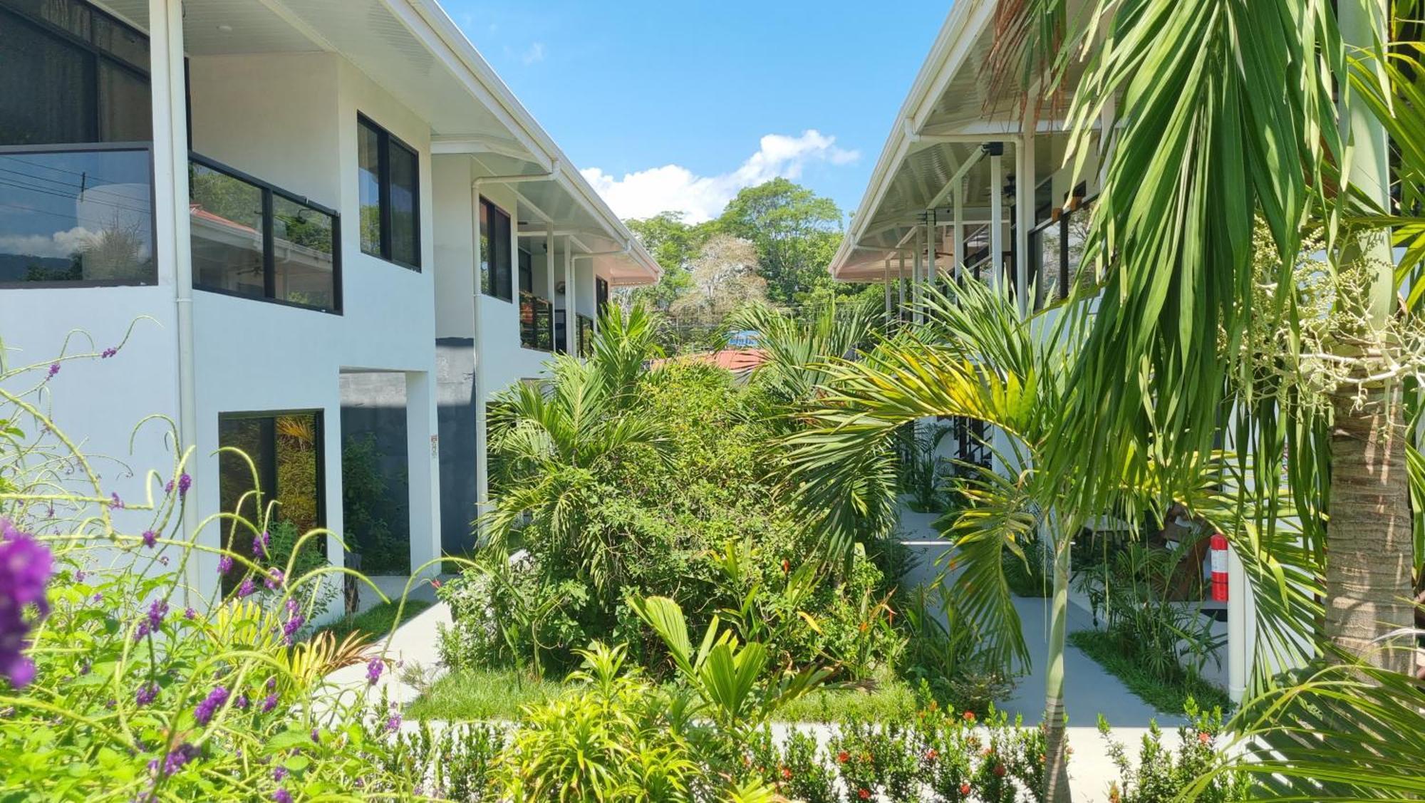 Ballena Rey Hotel Uvita Eksteriør bilde