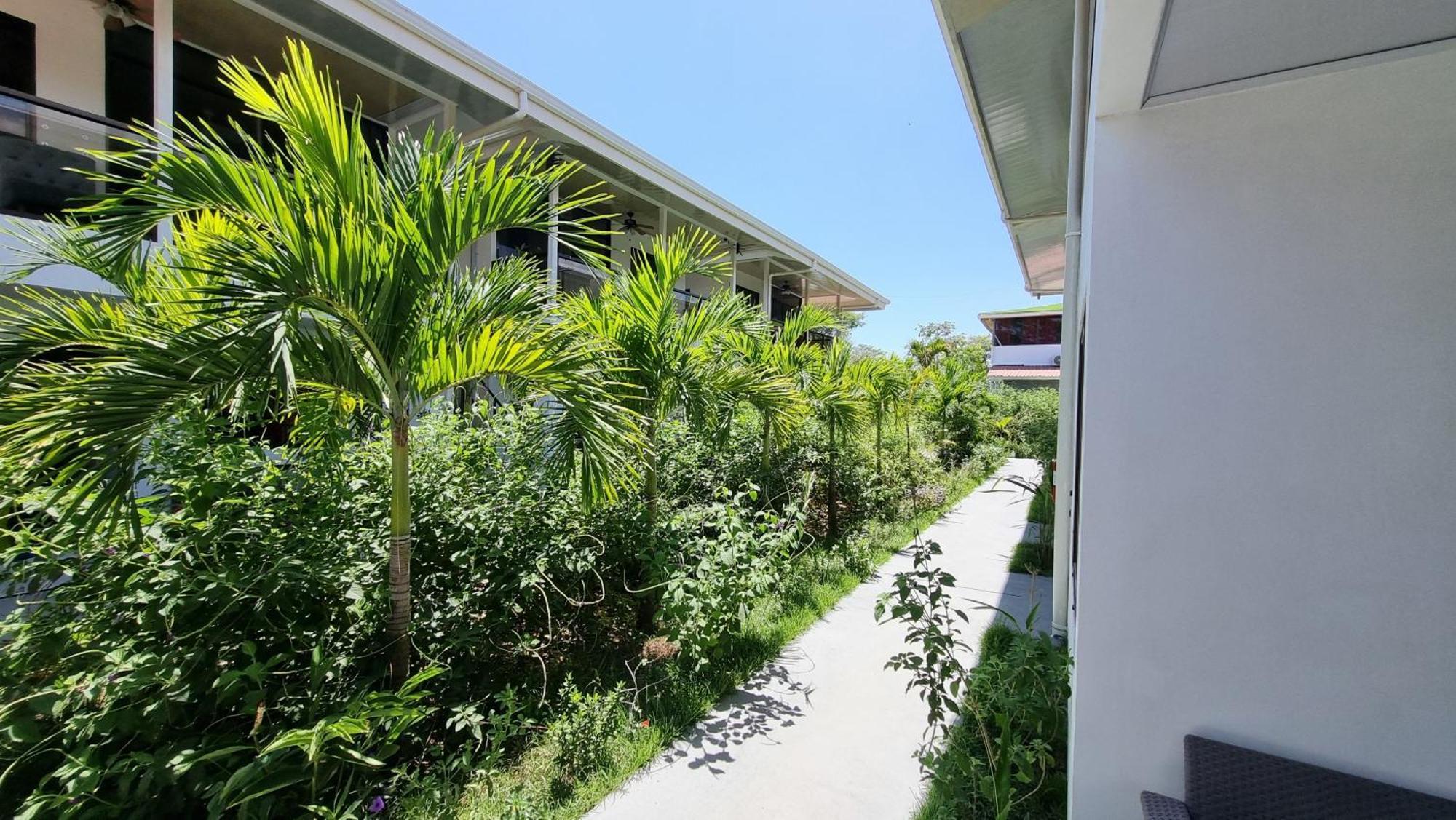 Ballena Rey Hotel Uvita Eksteriør bilde