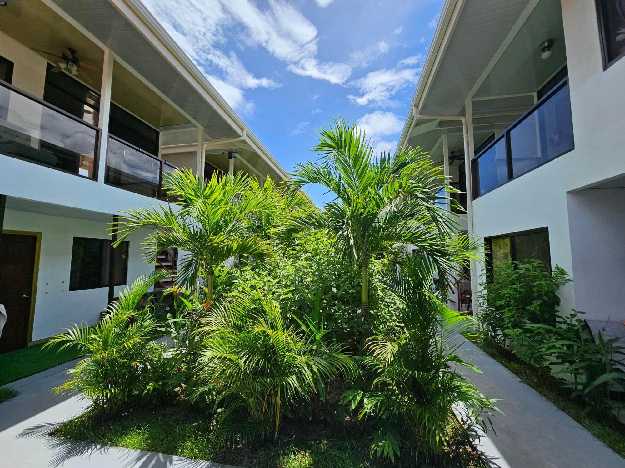Ballena Rey Hotel Uvita Eksteriør bilde