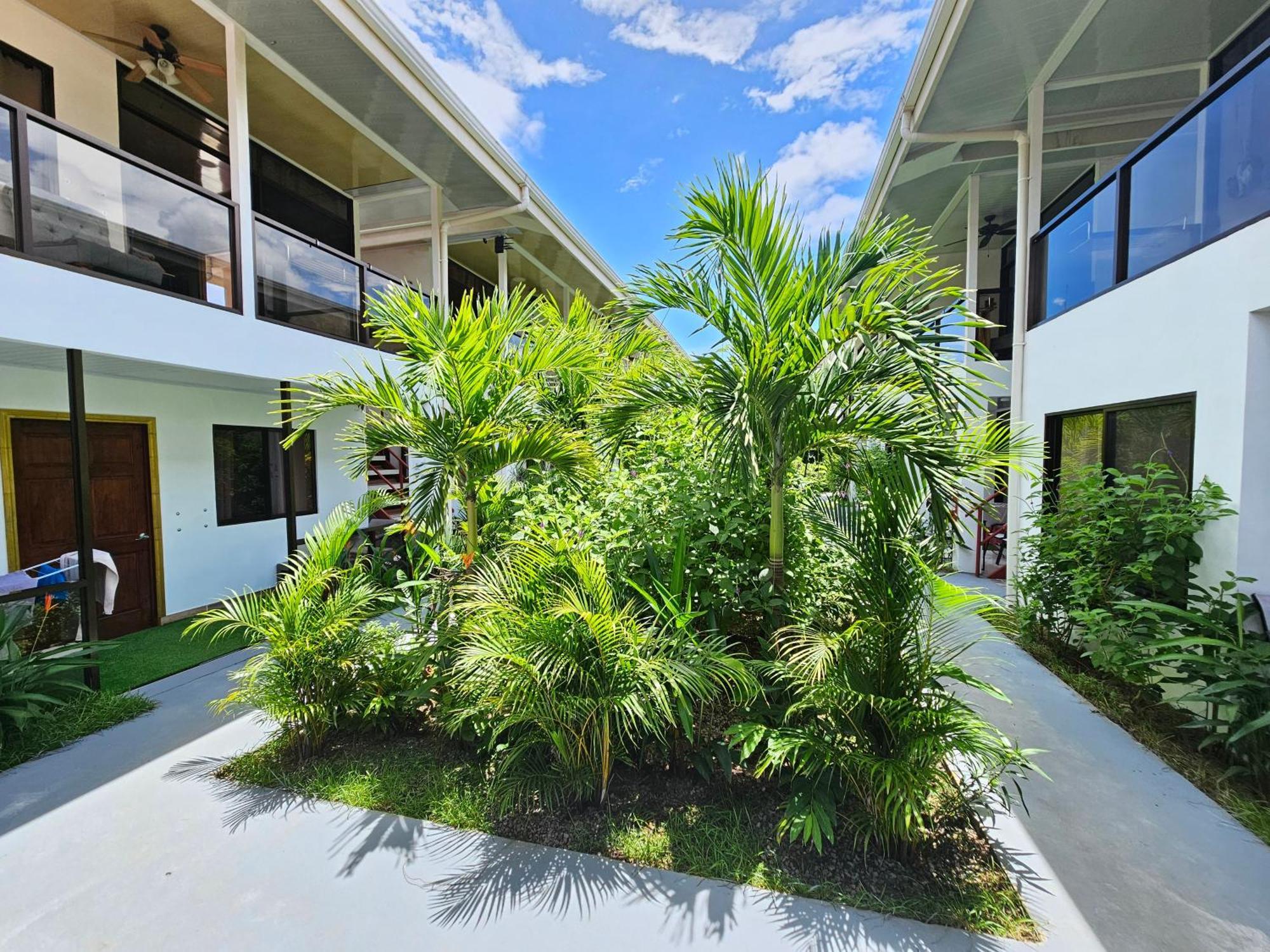 Ballena Rey Hotel Uvita Eksteriør bilde