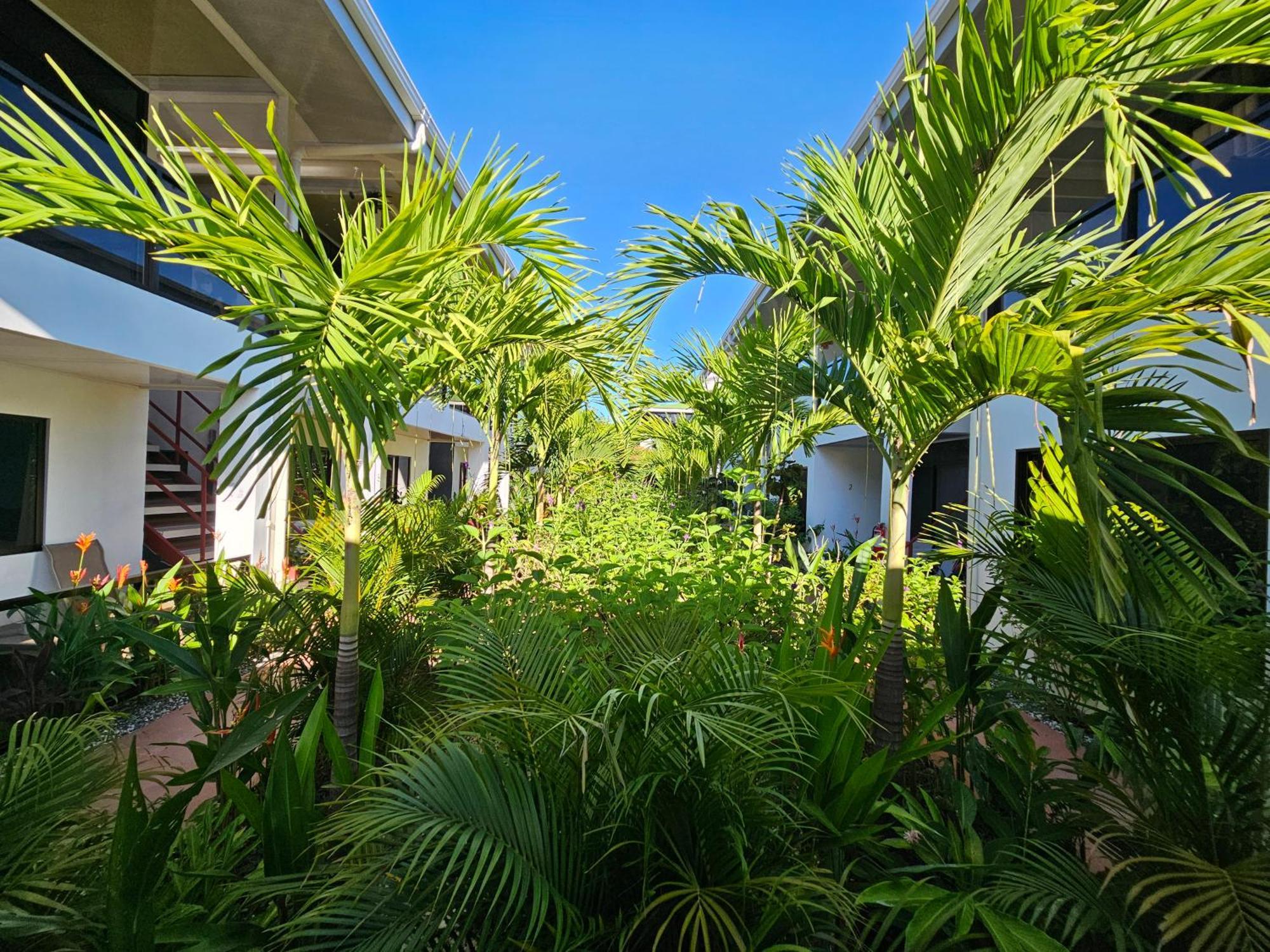 Ballena Rey Hotel Uvita Eksteriør bilde