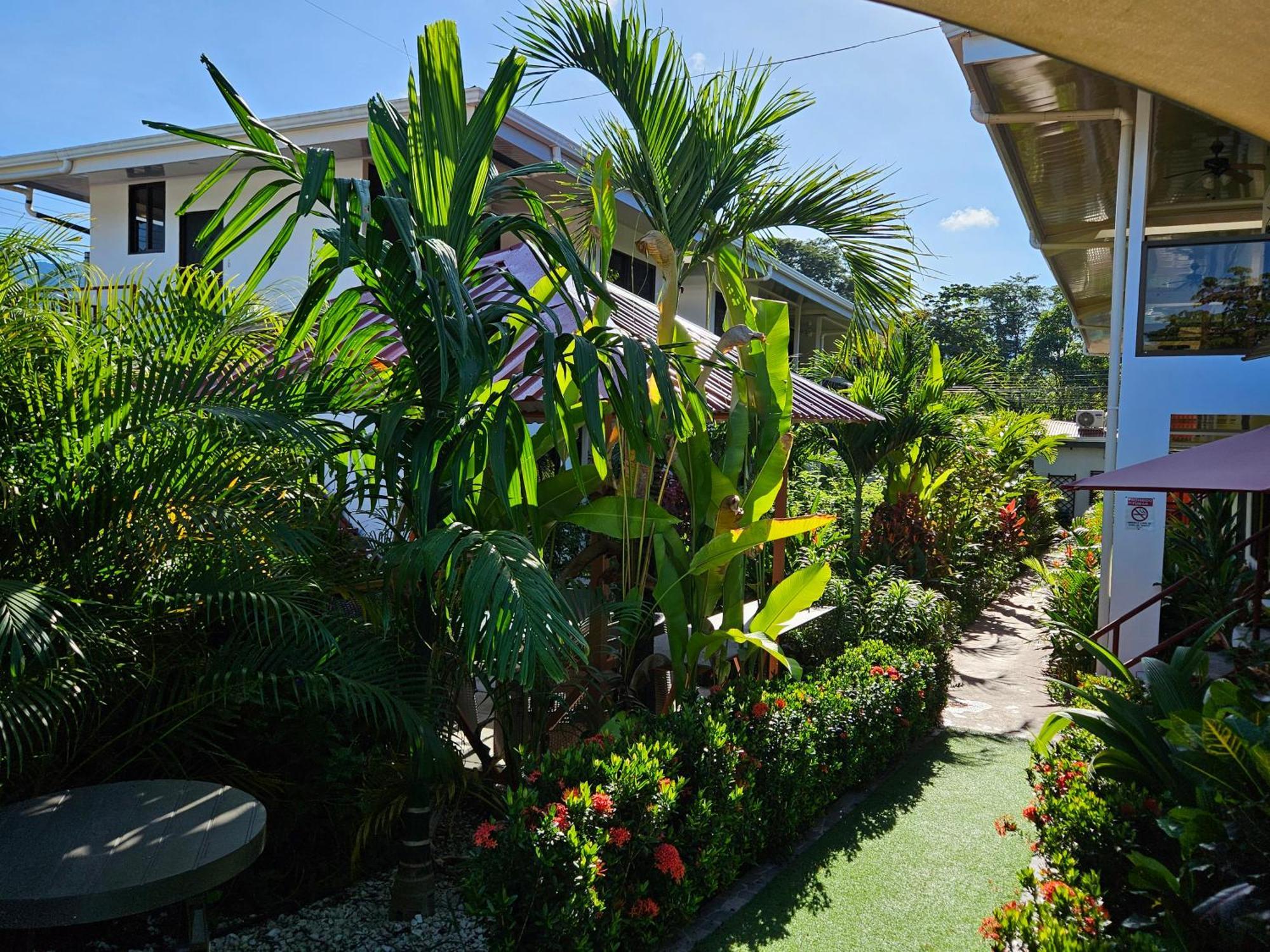 Ballena Rey Hotel Uvita Eksteriør bilde