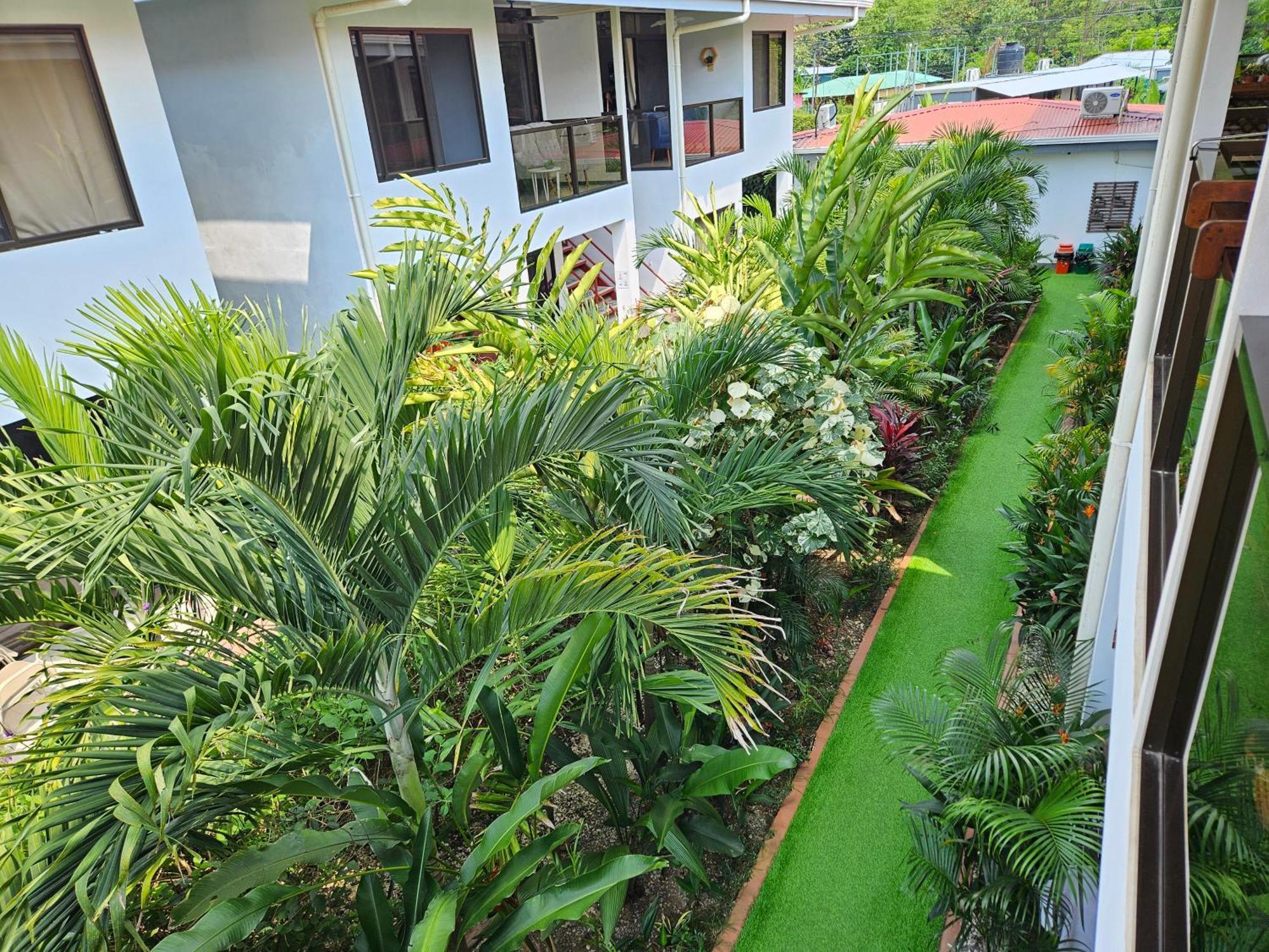 Ballena Rey Hotel Uvita Eksteriør bilde