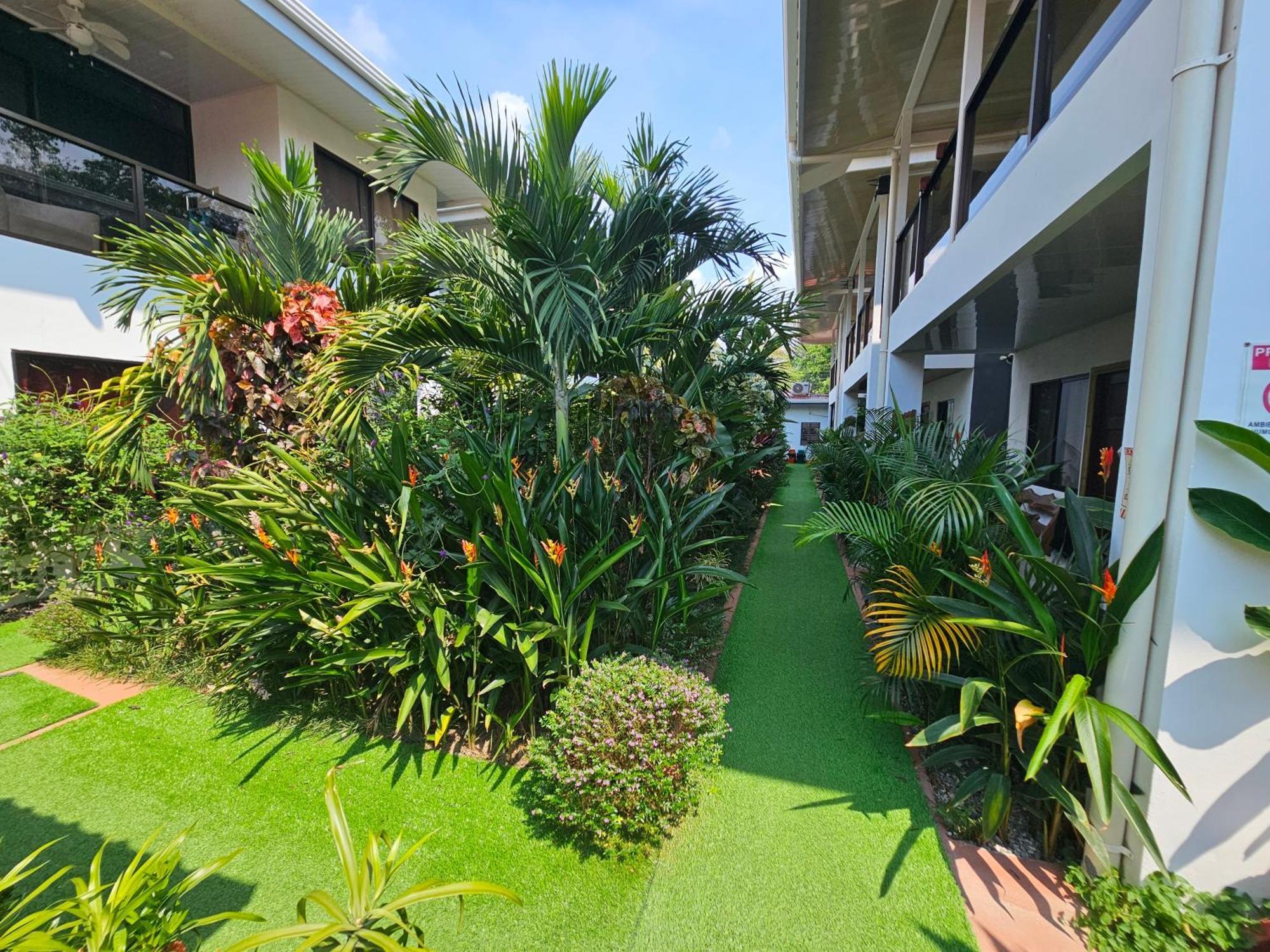 Ballena Rey Hotel Uvita Eksteriør bilde