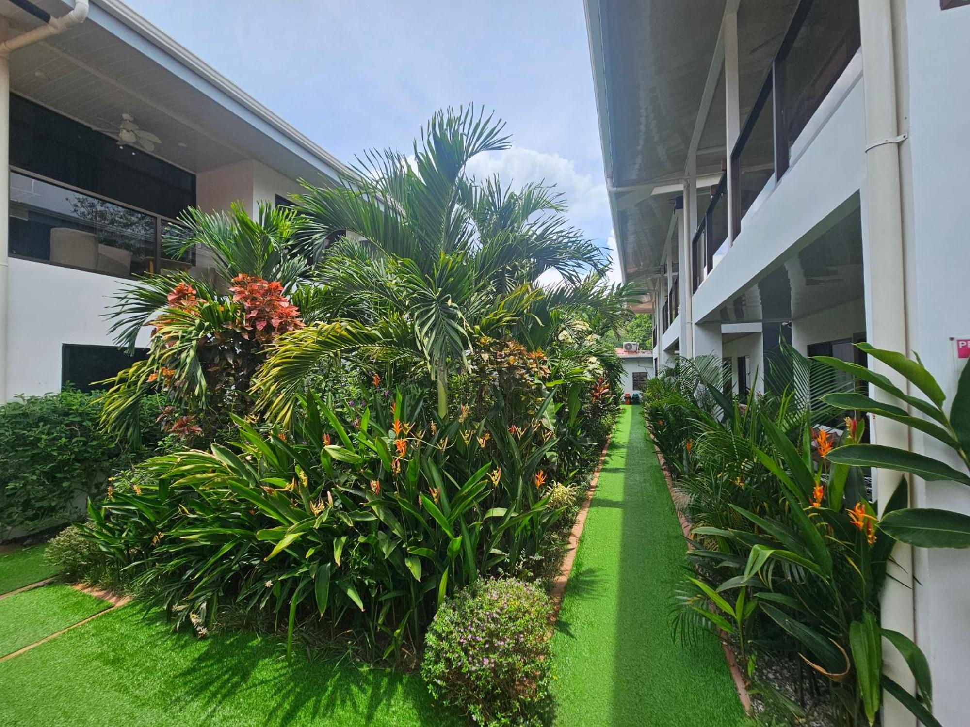 Ballena Rey Hotel Uvita Eksteriør bilde