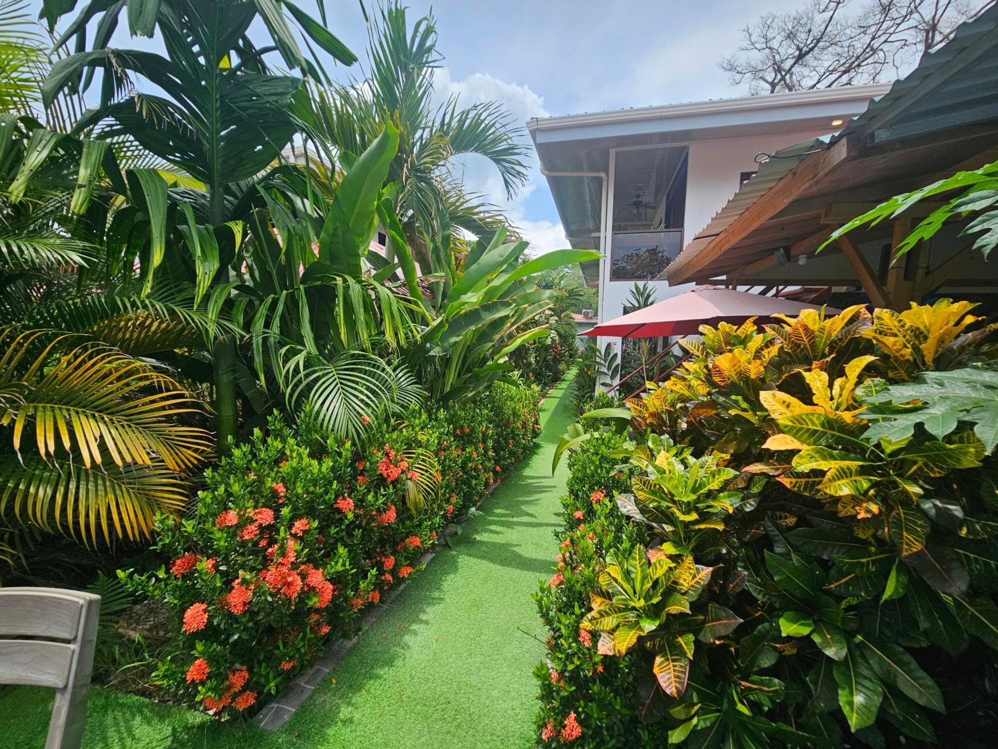 Ballena Rey Hotel Uvita Eksteriør bilde